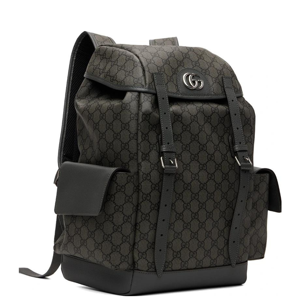Gray Medium Ophidia Backpack